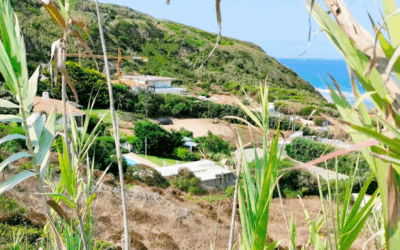 Parecem-lhe 500 metros?…