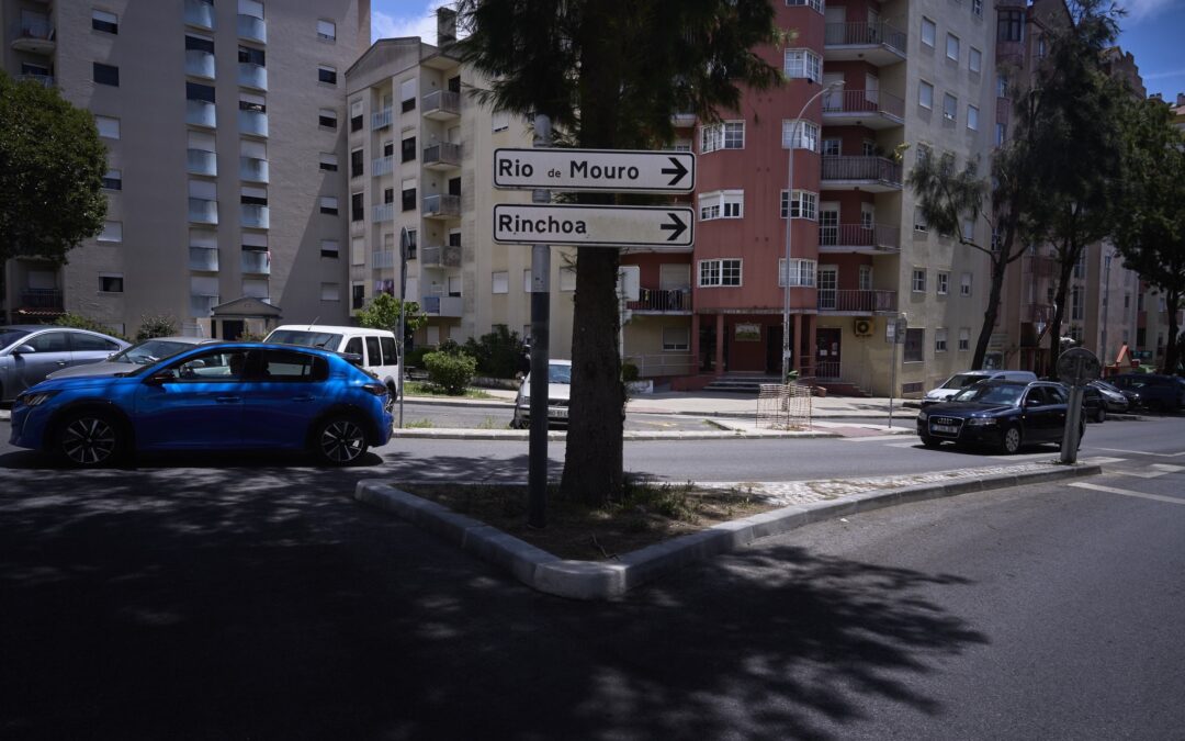 PÚBLICO: PDM de Sintra pôs travão à construção no campo e agora quase  todos querem revê-lo