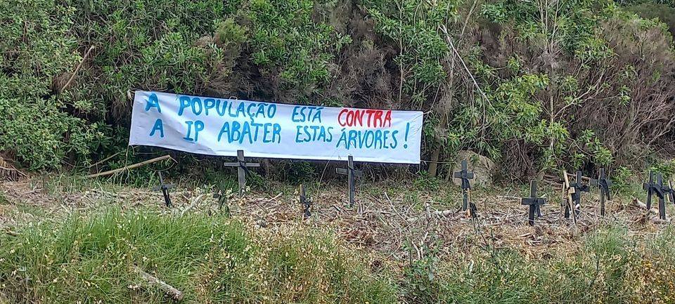 485658161_1049987507173003_7009312267601729353_n