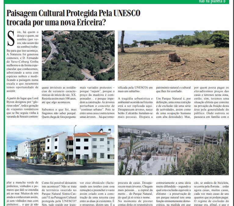 JORNAL DE SINTRA: Paisagem Cultural Protegida Pela UNESCO