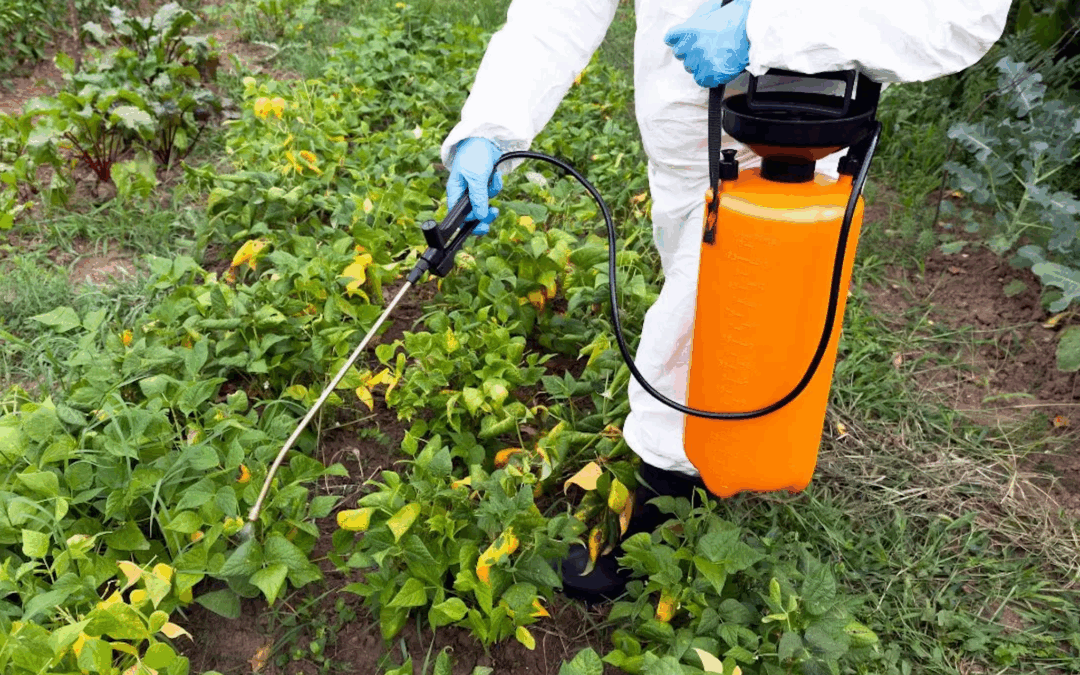 ZERO: A poluição por glifosato ameaça as águas superficiais europeias