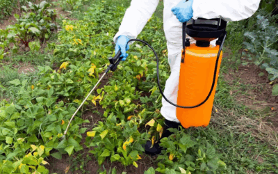 ZERO: A poluição por glifosato ameaça as águas superficiais europeias