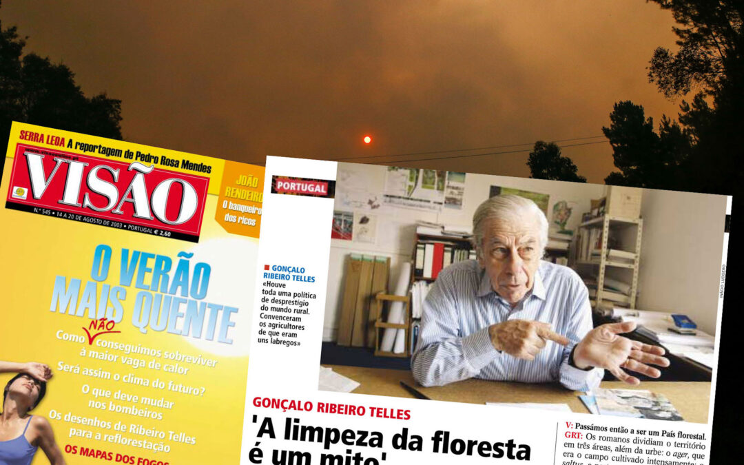 VISÃO: Gonçalo Ribeiro Telles: “A limpeza das florestas é um mito”