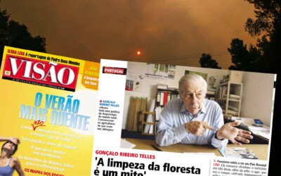 VISÃO: Gonçalo Ribeiro Telles: “A limpeza das florestas é um mito”