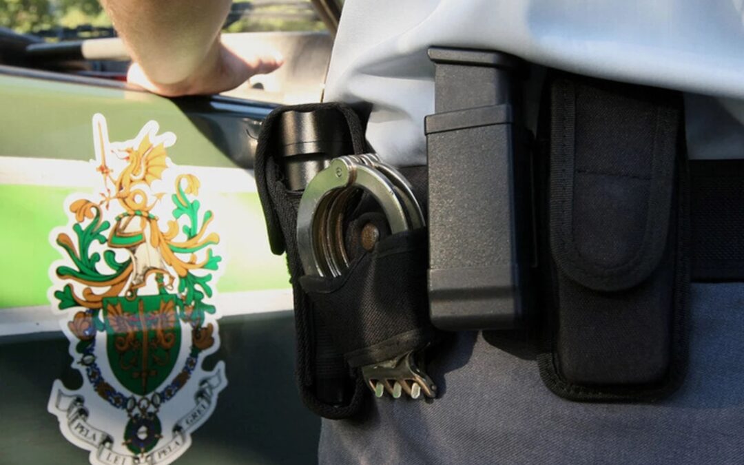 JORNAL DE NOTÍCIAS: GNR suspende trabalhos de empresa de limpeza de terrenos que  estava a abater árvores