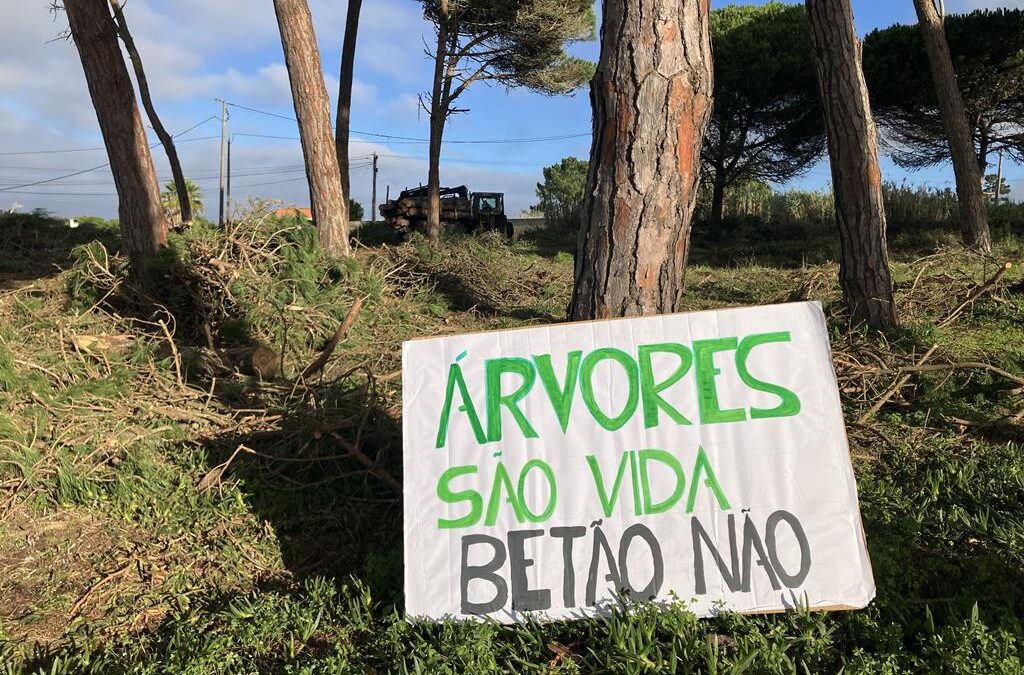 RENASCENÇA: Moradores protestam contra “um verdadeiro ecocídio” no Parque Natural Sintra‐Cascais