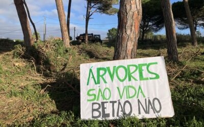 RENASCENÇA: Moradores protestam contra “um verdadeiro ecocídio” no Parque Natural Sintra‐Cascais