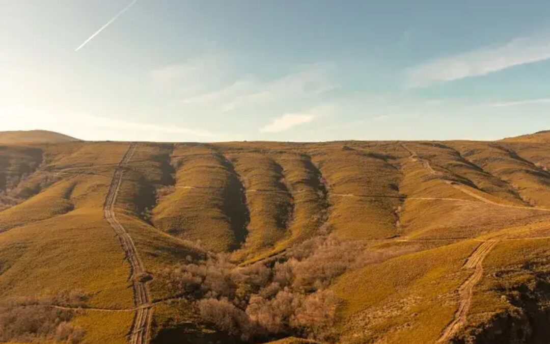 ESQUERDANET: Comissão Europeia ameaça processar Portugal por violar proteção da Rede Natura