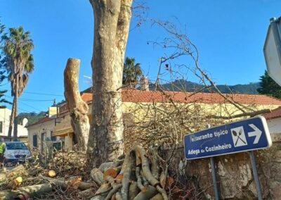 Sobre a Destruição da Paisagem Cultural de Sintra